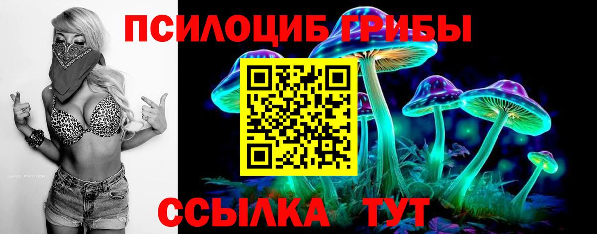 Галлюциногенные грибы Psilocybine cubensis  Вход с VPN  Осинники  Галлюциногенные грибы MAGIC MUSHROOMS 